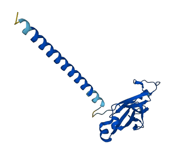 TRBC2 3D structure