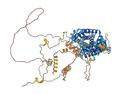SLC12A8 3D structure