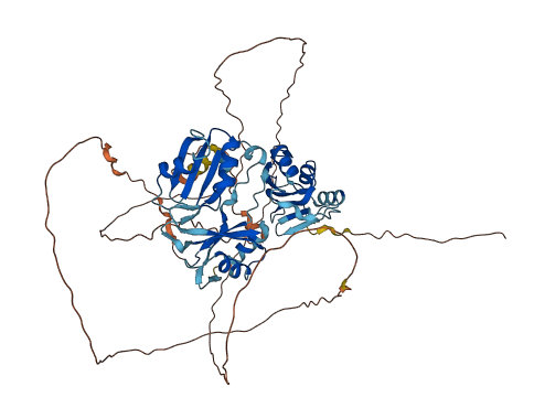 RBM47 3D structure