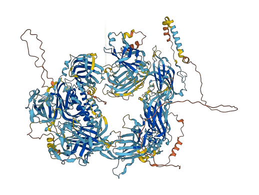 FER1L5 3D structure