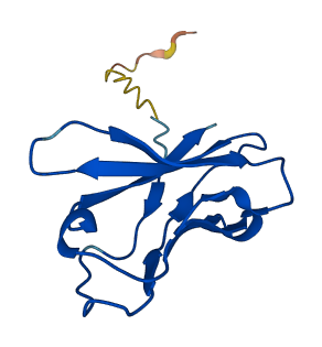 TRAV38-2DV8 3D structure