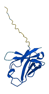TRDV2 3D structure