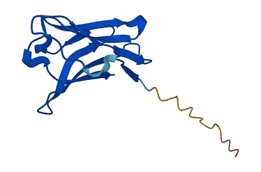 TRDV3 3D structure
