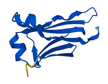 IGLC7 3D structure