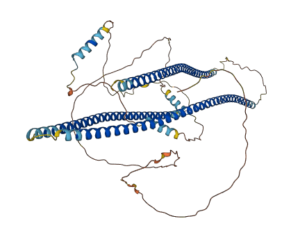SHTN1 3D structure