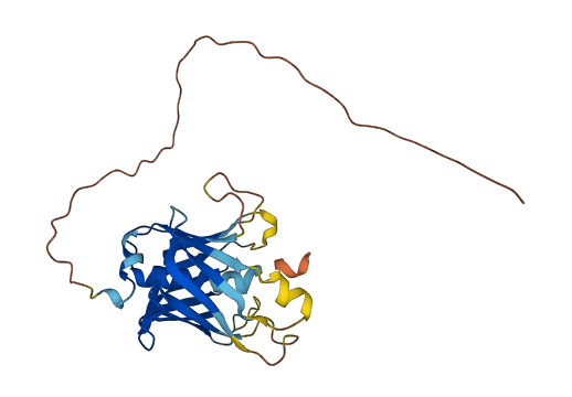 PLSCR5 3D structure
