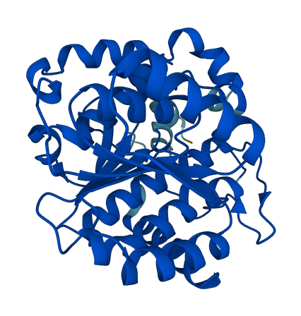 DHRS12 3D structure