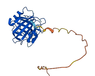 TLDC2 3D structure