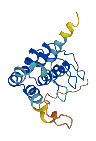 ANKRD20A5P 3D structure