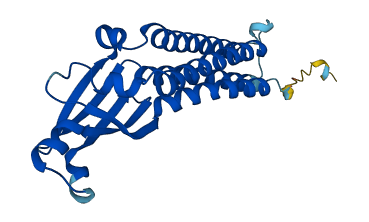CLRN2 3D structure