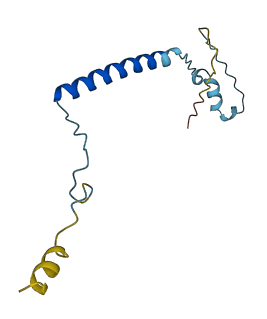 TMEM30CP 3D structure