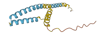 SLC66A1L 3D structure