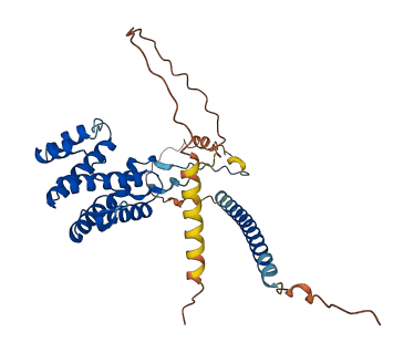 CCDC189 3D structure