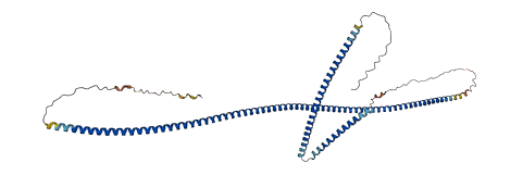BICDL2 3D structure