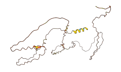 ODAM 3D structure