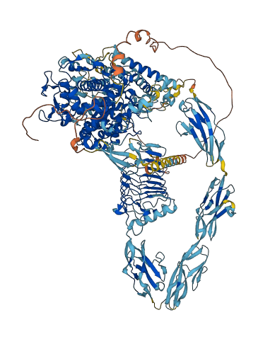 PXDNL 3D structure