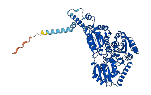 ILVBL 3D structure