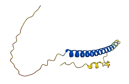 C20orf202 3D structure