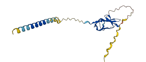 IGSF23 3D structure