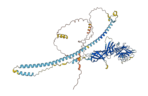 FSD2 3D structure