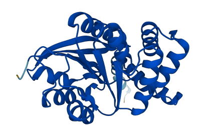 Tomt 3D structure