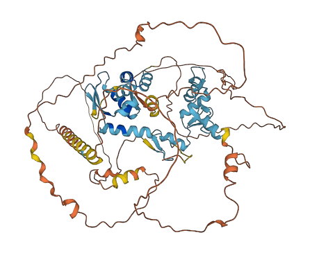 ZBTB7C 3D structure