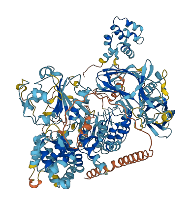 Nlrp1b 3D structure