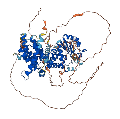PTPDC1 3D structure
