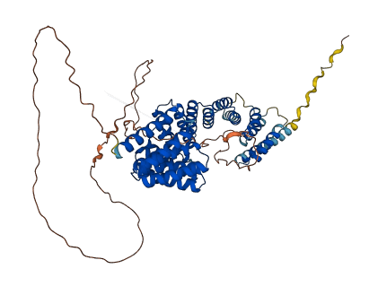 TTC24 3D structure