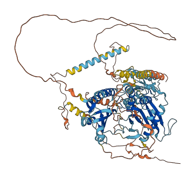 PIPSL 3D structure