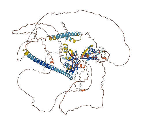 Akap17b 3D structure
