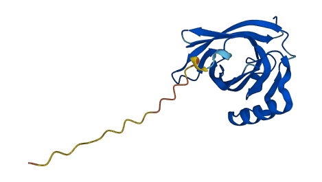 Obp1b 3D structure
