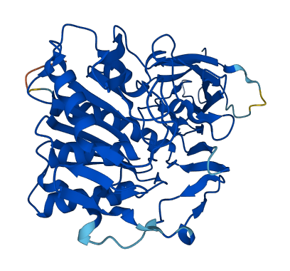 Acnat1 3D structure