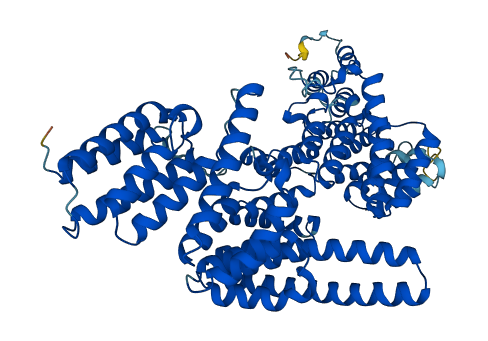 Ttc30a2 3D structure