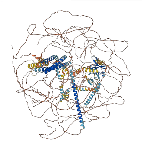 Skt 3D structure