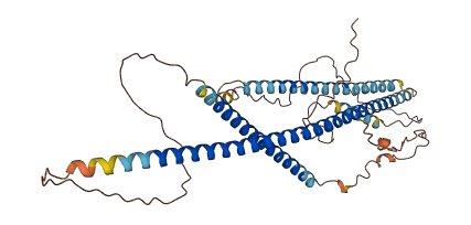 CCDC78 3D structure