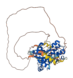 Smoktcr 3D structure