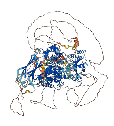 HFM1 3D structure