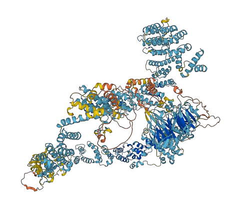NBAS 3D structure