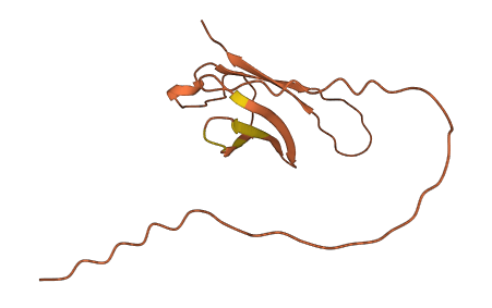 C9orf170 3D structure
