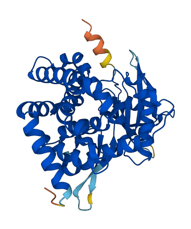 HYKK 3D structure