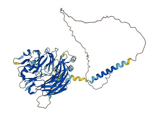 FAM234B 3D structure