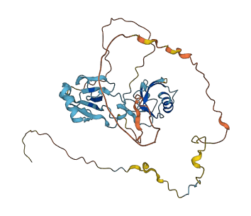 DCDC2B 3D structure