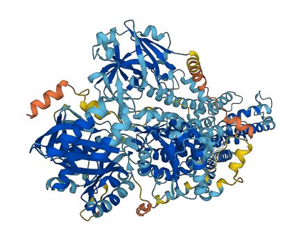 Atp8b5 3D structure
