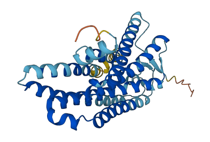 OR2M5 3D structure