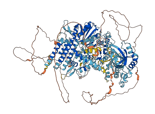 SBNO1 3D structure