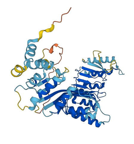 PRAMEF27 3D structure