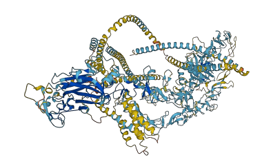 LAMB4 3D structure