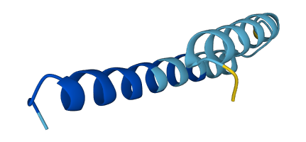 SMIM30 3D structure