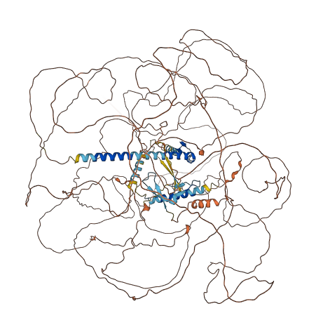 ZNF804B 3D structure